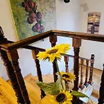 Guest house гергини
